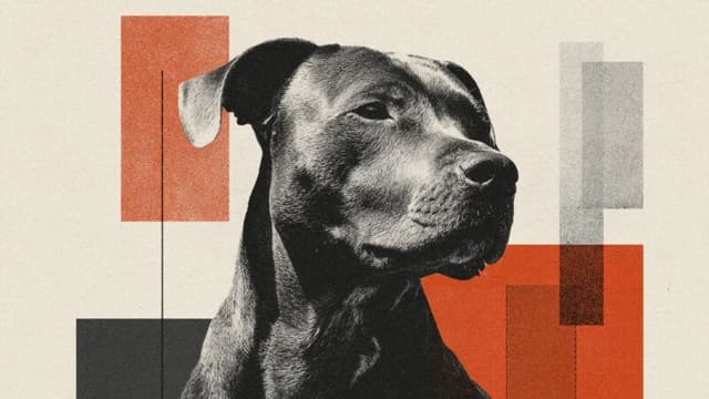 AIで愛犬のがんワクチンを設計──ChatGPT・AlphaFold・Grokで腫瘍75%縮小に成功