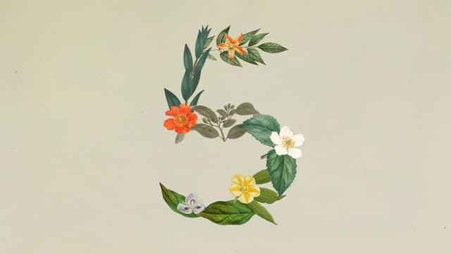 AnthropicがClaude Sonnet 5を公開──実務エージェントの「標準モデル」競争が加速